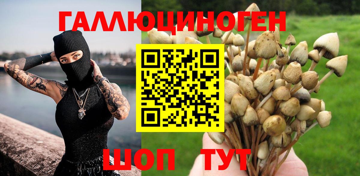 Псилоцибиновые грибы прущие грибы Каменка