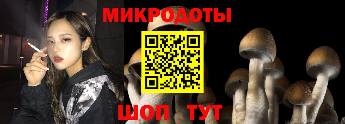 Каменка  Галлюциногенные грибы Psilocybe  Вход с VPN 